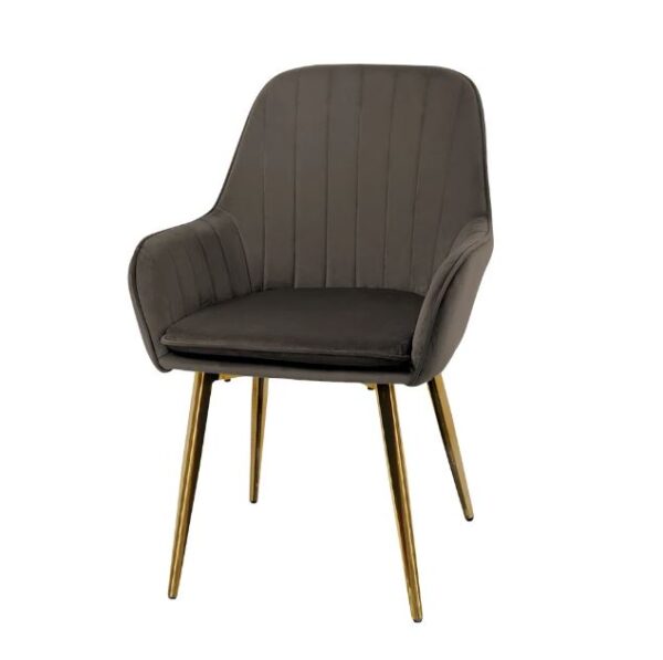 Restaurant Chair in Brown Colors with Gold Legs