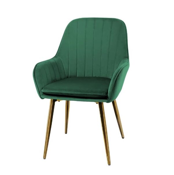 Restaurant Chair in Green Colors with Gold Legs