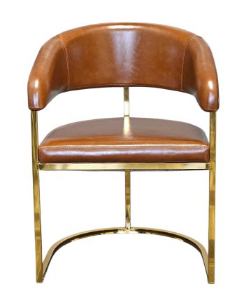 Brown arm chair with gold frame